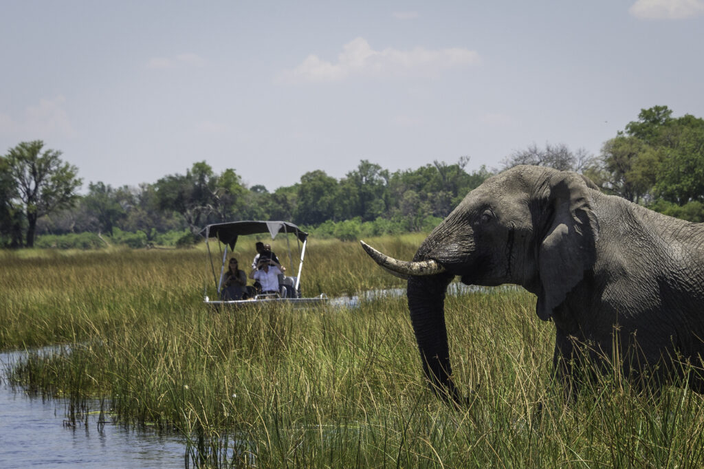 Wilderness Safari - @lifestylemag - wwwl.lifestylemag.com